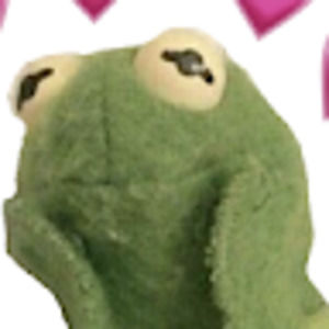 Meet your Posher, Audrey